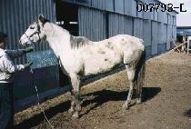 ���������� (LOOK PRINCESS) ����