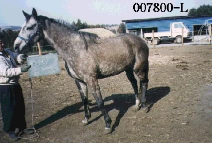 ����Ƽǲ ����