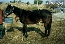 ����Ƽ��ũ (MIGHTY DARK) ����