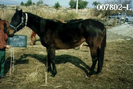 ����Ƽ��ũ ����