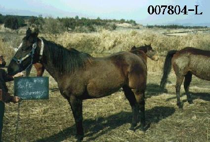 ������Ʈ���÷θӽ� ����