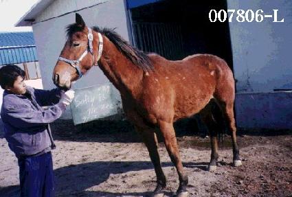 ����Ʋ�����������Ʈ ����