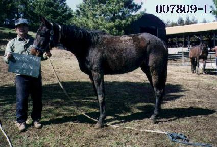 ���Ǹ����� ����