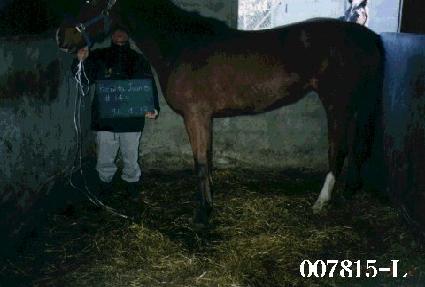 ����Ÿ�־ƴ�Ÿ ����