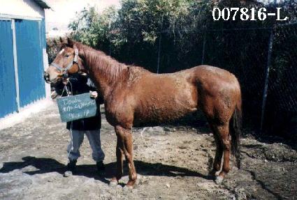 �������� ����