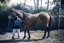 �����κ��� (SHE��S A RAINBOW) ����