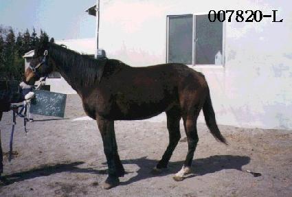 ���������̽�Ÿ�� ����