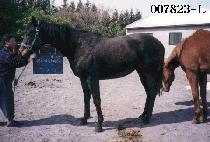 ����£������ (WHENISITMYTURN) ����