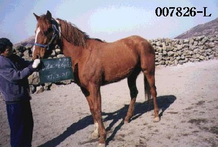 ����Ʈ������ ����