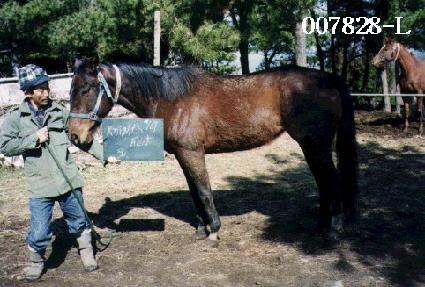 ��������Ʈ ����