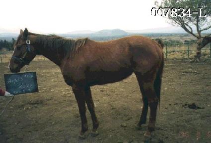 ���������̽� ����