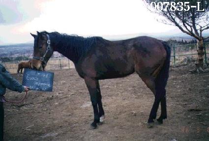 ����Ź� ����