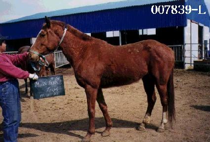 �̽�Ÿ������� ����