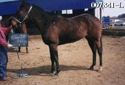 ����ۼ��� ����