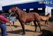 �����Ͷ���Ÿ�� (JUST THE RIGHTTIME) ����