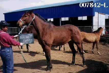 �����Ͷ���Ÿ�� ����