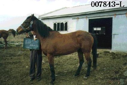 ����ֺ� ����