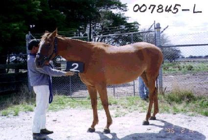 Ȳ�ݻ�� ����