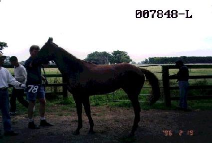 �ɹٶ� ����