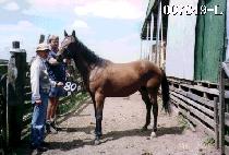 ���� (BOKRYONG) ����