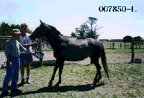 ���� (BOGWANG) ����