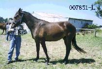 ��õ�� (SINCHEONJI) ����