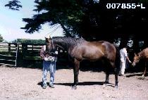 ȸ���� (HOEDORI) ����