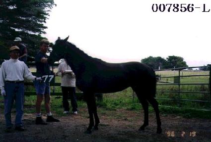 �ּ��� ����