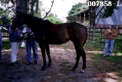 ���� ����