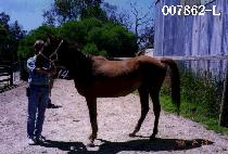 ���¼� (DONGRYEOKSEON) ����