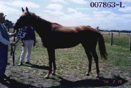 ������ ����