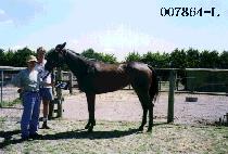 ���� (CENTURY) ����