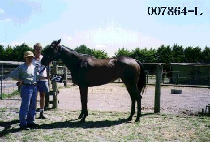 ���� ����