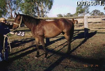 õ�� ����