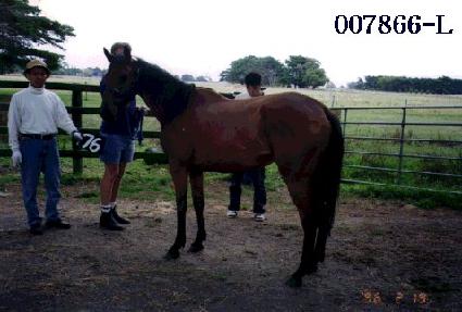 �¼� ����