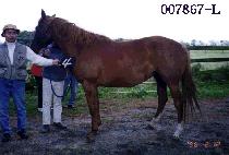 �θ��� (DUMEJI) ����