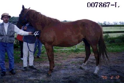 �θ��� ����