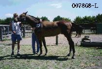 ���� (SANDEULBA) ����