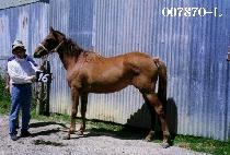 ���̿��� (NOPIOREUM) ����