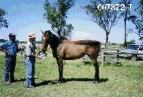 ������ (NEW SAETBYEOL) ����