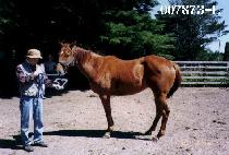 ��λ� (YONGDUSAN) ����