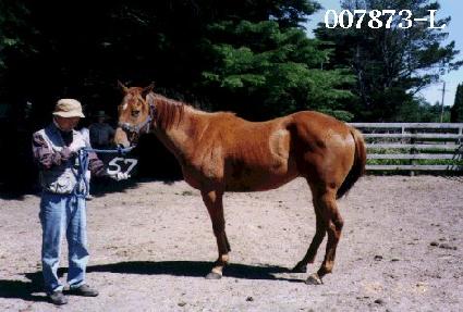 ��λ� ����