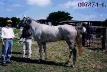 ������ (SUSEONGSAN) ����