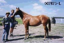 ��Ϻ� (WUAMBONG) ����