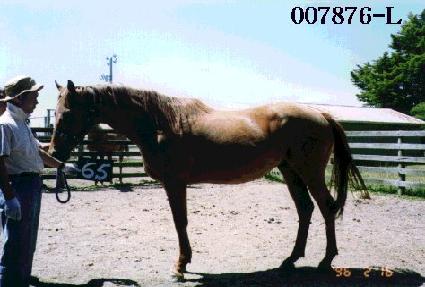 ���ڽ� ����