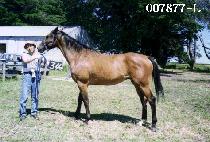 �����̵� (GEOID) ����