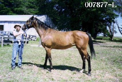 �����̵� ����