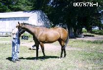 �±ؼ� (TAEGEUKSEON) ����