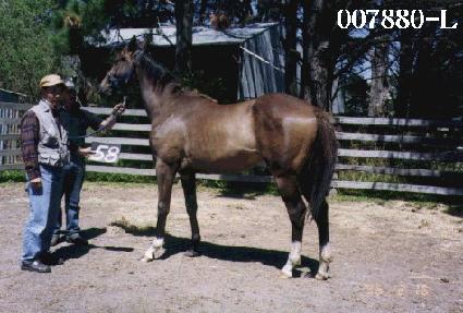 �������Ķ� ����