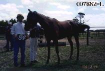 ��ħ�޻� (ACHIM HAETSAL) ����